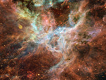 Tarantula Nebula