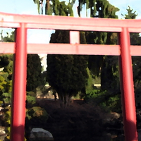 Japanese Garden