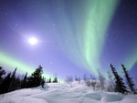 Alaskan Aurora