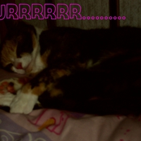 PURRRRRRR..........