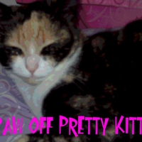 Paw Off Pretty kitty