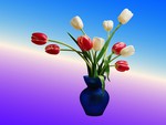 Tulips in Vase