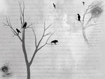 Crows Diary