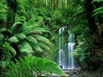 Tropical falls landscape pictures . jpg