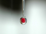 Red Rose in Water Droplet