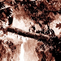 King Kong: the motion picture 