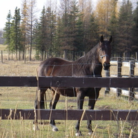 the grass is always greener 