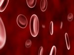Blood Cells