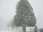 Winter 2008