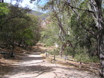 Ramsey Canyon