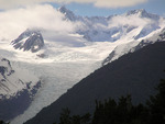 Fox Glacier