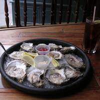 Oysters on the half-shell