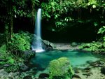 Dominica waterfall
