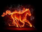 Fire Horse