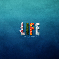 Life by mushir