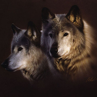 wolves