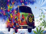 high times hippies