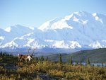 Mount McKinley
