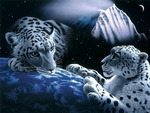 Snow_leopards-3d