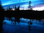 Blue Bog