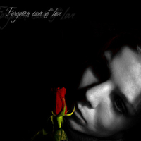 forgotten taste of love