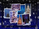 Christmas Trees