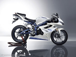 Urban Sports Daytona 675 SE
