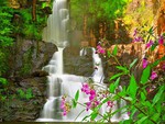Beautiful Waterfall