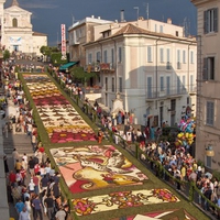 Infiorata - Genzano di Roma