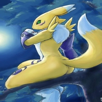 Renamon in the moonlight