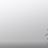 The wandering Samurai