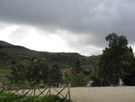 Nature in Segesta
