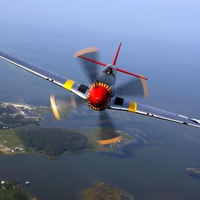 P-51 Mustang