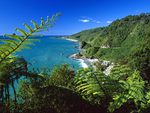 Paparoa National Park~South Island~New Zealand