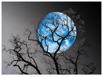 Blue moon