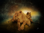 Lions