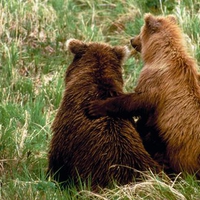 You've Got A Friend In Me