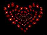 heart of flowers