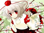 cutemomiji