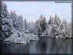 Winter River