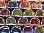Lobster traps