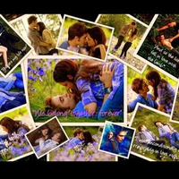 Twilight Saga Meadow