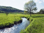 River running through meadow in Bayern, Bavaria, Germany