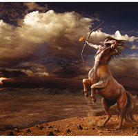 Sagittarius / Schuetze