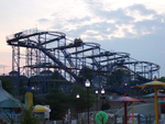 Wild Mouse