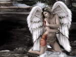 Fallen Angel