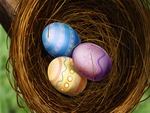 easter eggs in nest.