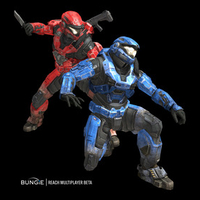 Halo Reach Assaination