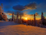 Snow Sunrise