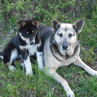 can you get it away from me?